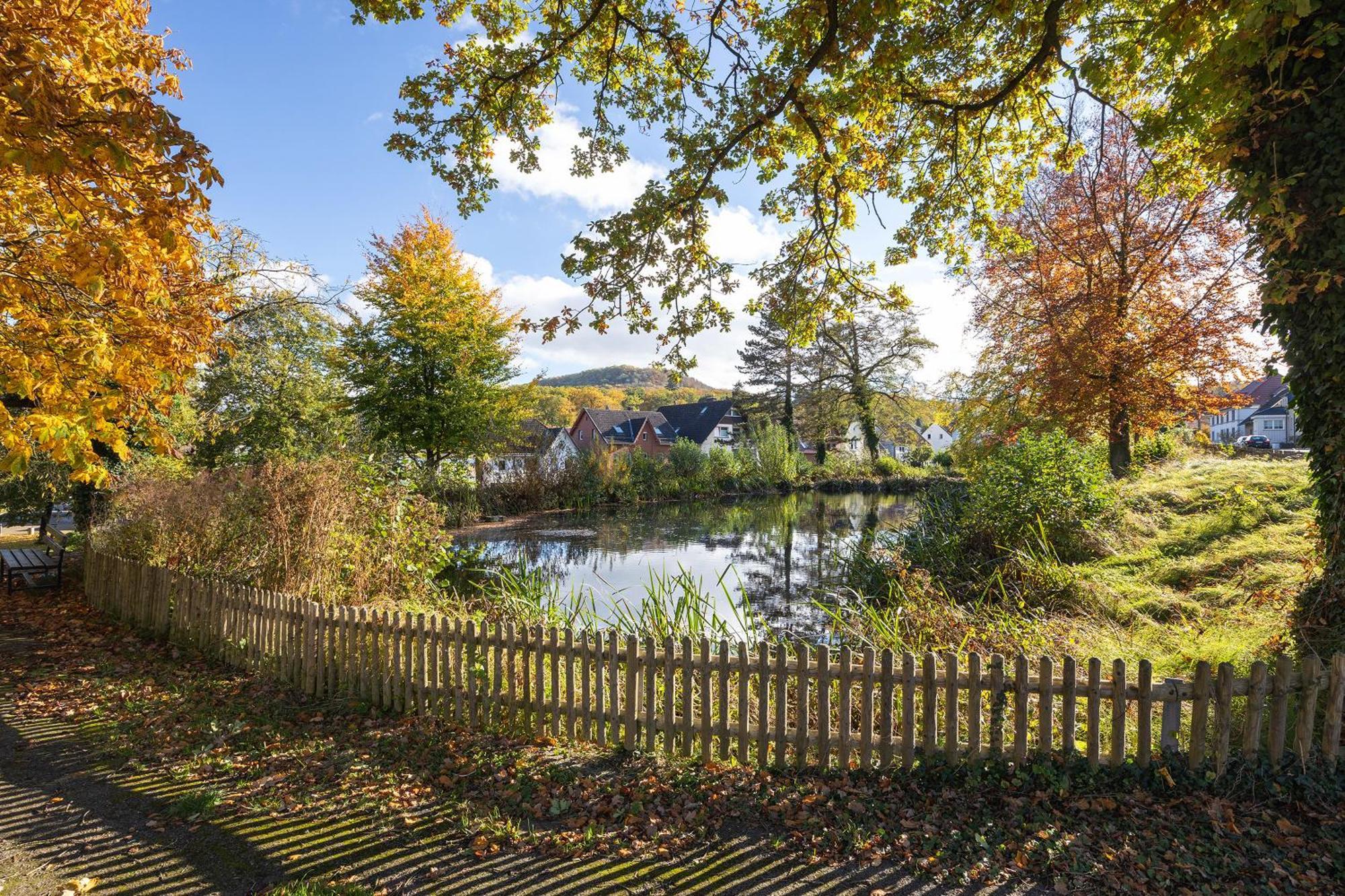 Gaestehaus Am Muehlenteich Schieder-Schwalenberg Exteriör bild